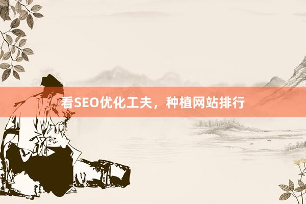看SEO优化工夫，种植网站排行