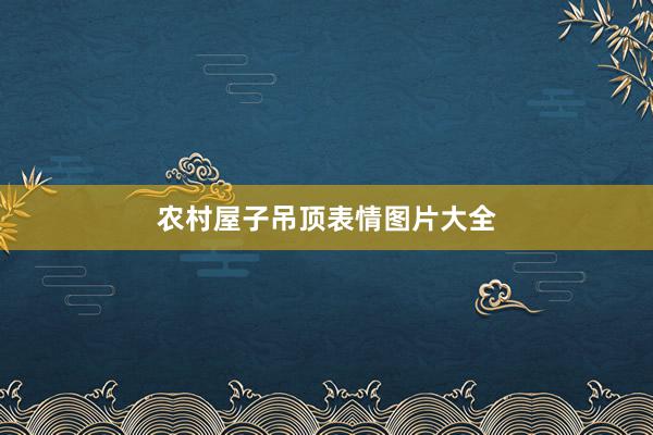 农村屋子吊顶表情图片大全